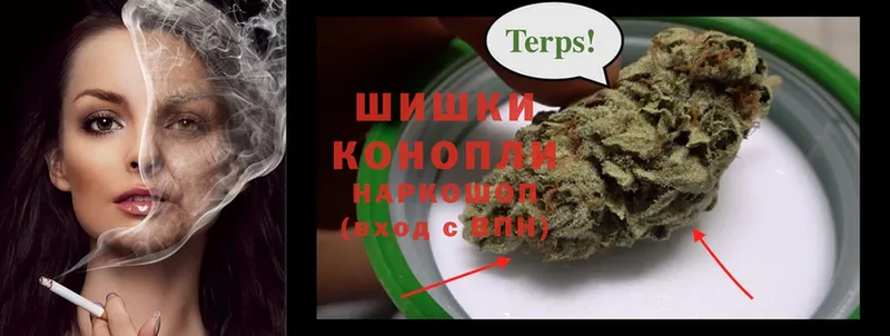 Бошки Шишки SATIVA & INDICA  МЕГА ссылка  Сортавала 